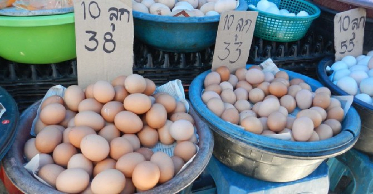 พาณิชย์เสียงแข็งไข่ไก่ไม่แพงเว่อร์ พาณิชย์เสียงแข็งไข่ไก่ไม่แพงเว่อร์