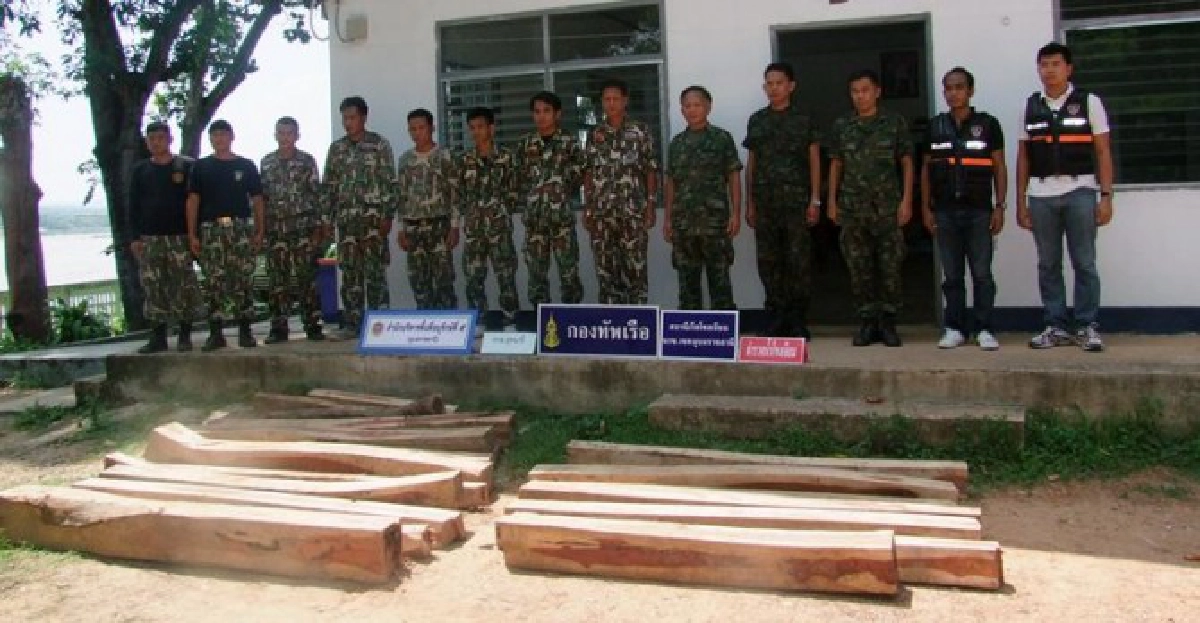 ยึดไม้พะยูง21ท่อนจ่อข้ามโขง
ยึดไม้พะยูง21ท่อนจ่อข้ามโขง