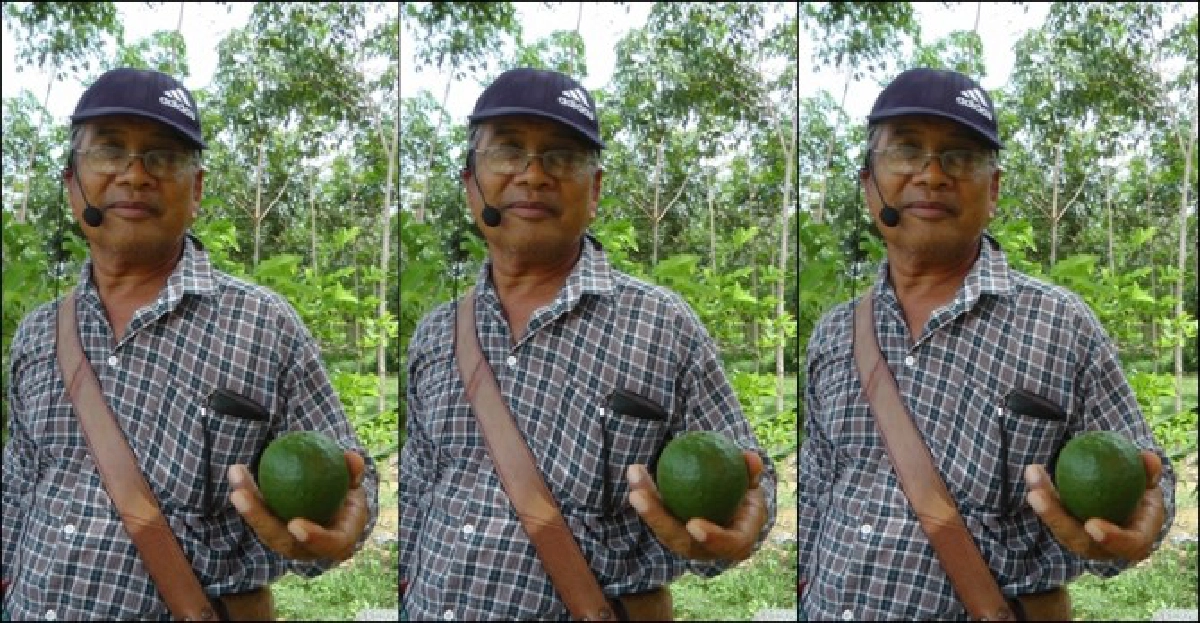 เกษตรกรยุคใหม่สู่โลกไอที