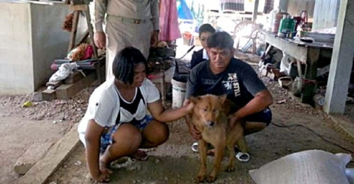 'เจ้าปุย'ตูบฮีโร่!คาบทารกถูกทิ้งรอดตาย