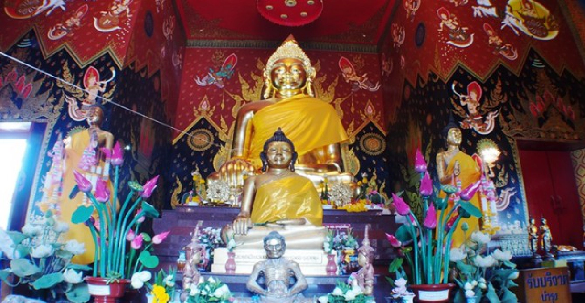 เที่ยวเมืองช้างสุรินทร์ เที่ยวเมืองช้างสุรินทร์