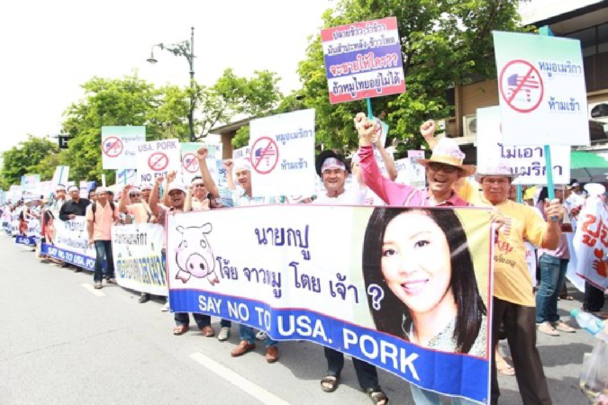 'ผู้เลี้ยงสุกร'ค้านนำเข้า'หมูมะกัน' 'ผู้เลี้ยงสุกร'ค้านนำเข้า'หมูมะกัน'