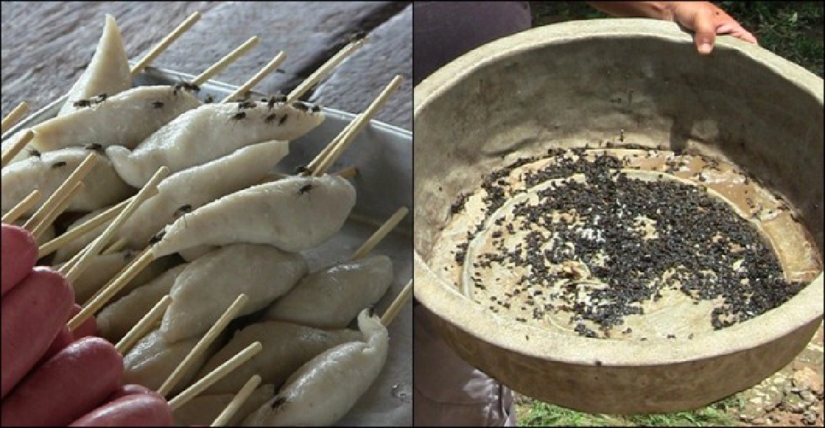 เดือดร้อน!ฝูงแมลงวันออกอาละวาด