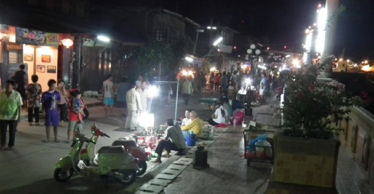 ศิลป์แห่งแผ่นดิน : ถนนคนเดินชุมแสง