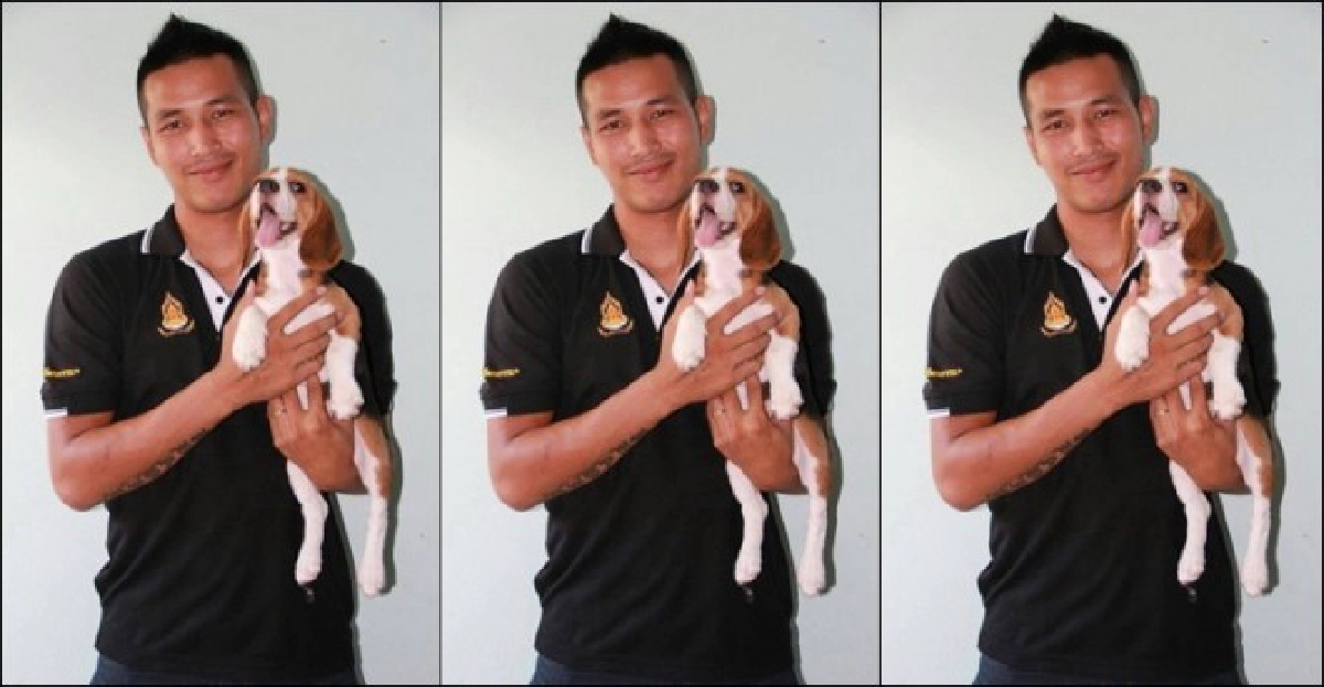ปันความรักให้น้องหมา