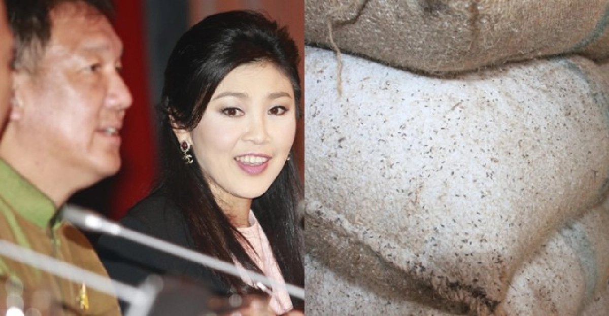 'ปู'ขู่เชือด'ทุจริตจำนำข้าว'ทั้งแพ่ง-วินัย