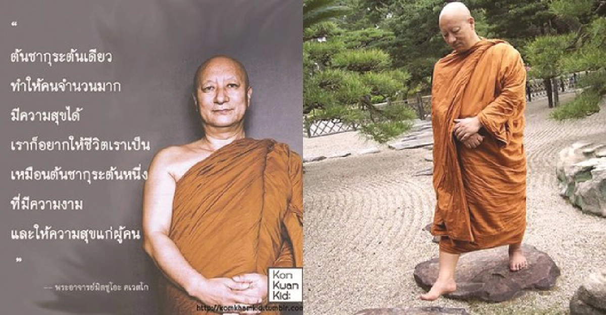 เมื่อต้นซากุระกลับไปผลิบานที่บ้านเกิด เมื่อต้นซากุระกลับไปผลิบานที่บ้านเกิด