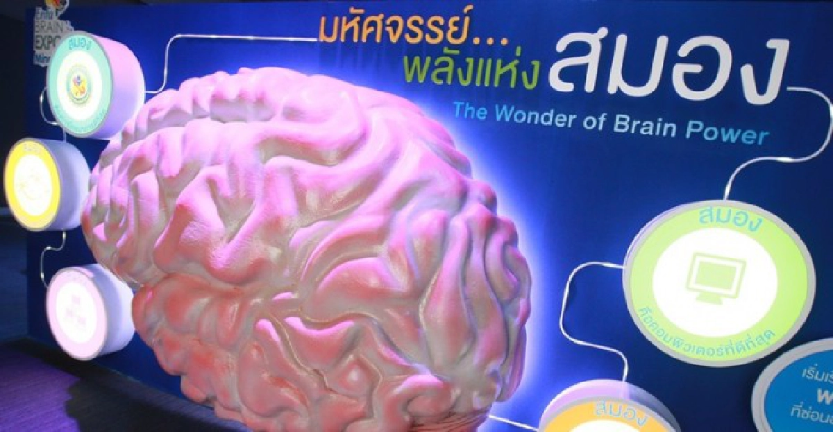 แผนผังความคิดปลดล็อกสมอง แผนผังความคิดปลดล็อกสมอง