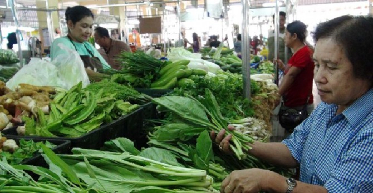 อากาศแปรปรวนดันราคาผักสดเมืองสงขลาพุ่ง
อากาศแปรปรวนดันราคาผักสดเมืองสงขลาพุ่ง