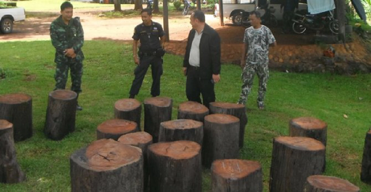 ยึดไม้27ท่อนซุกเขื่อนวชิราลงกรณ
