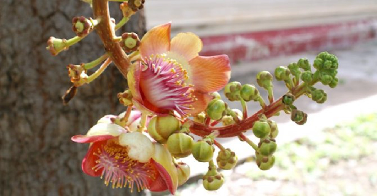 ชมวัดเก่า เล่าความหลัง เมืองสุพรรณฯ