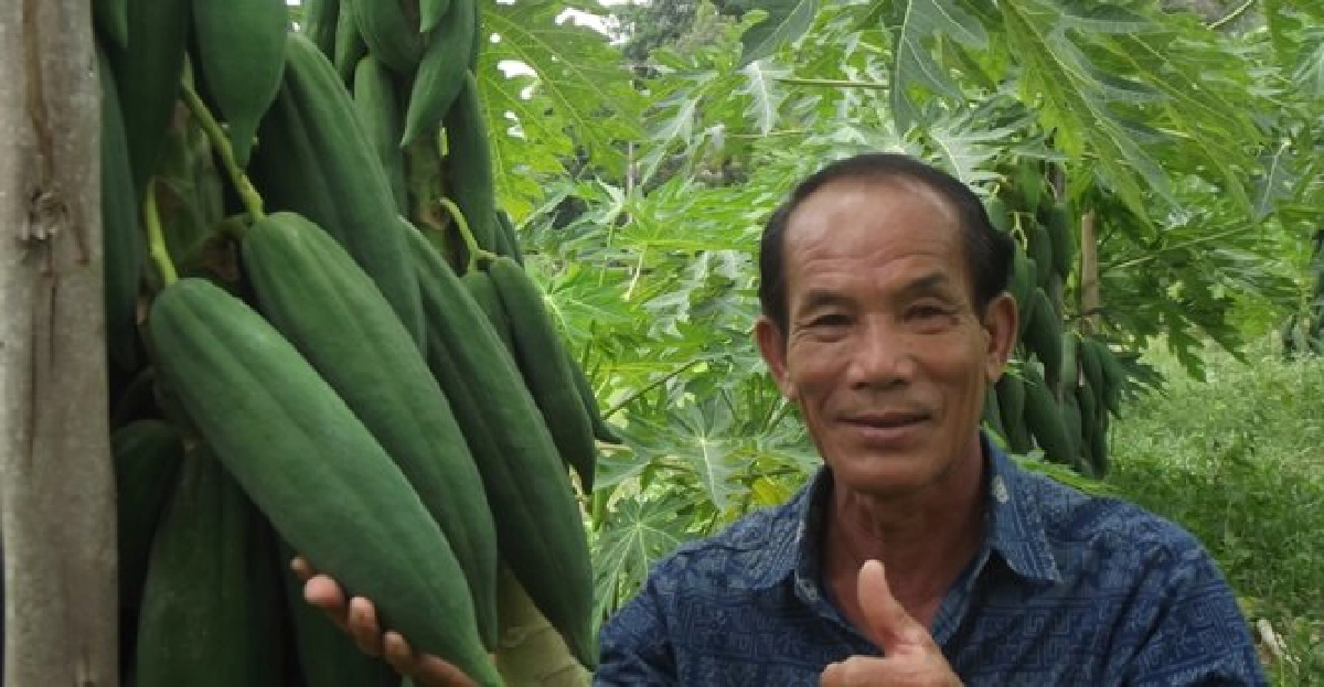 เกษตรกรคนเก่ง : 'บุญเหล็ง สายแวว' เกษตรกรคนเก่ง : 'บุญเหล็ง สายแวว'