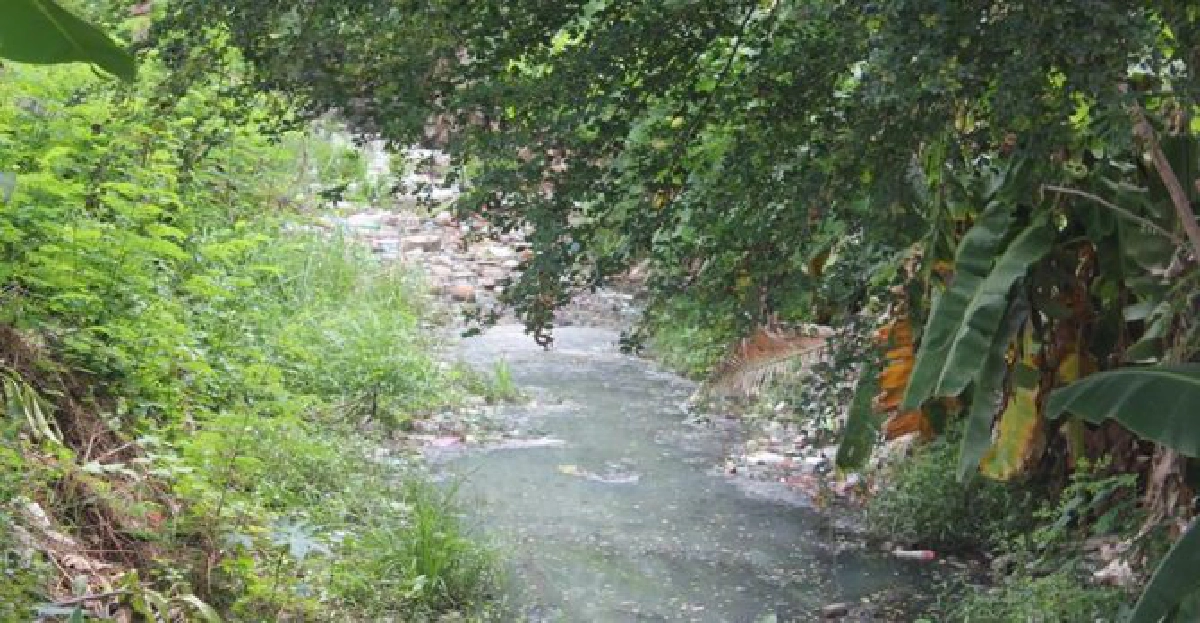 'ลำตะคอง'เน่าพบปล่อยน้ำเสีย-ทิ้งขยะ

