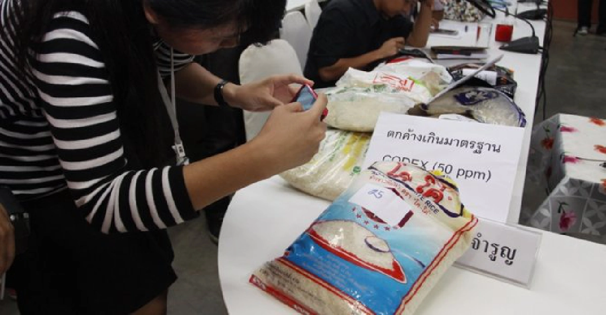 ร่วมกันรักษาเครดิตข้าวไทย ร่วมกันรักษาเครดิตข้าวไทย