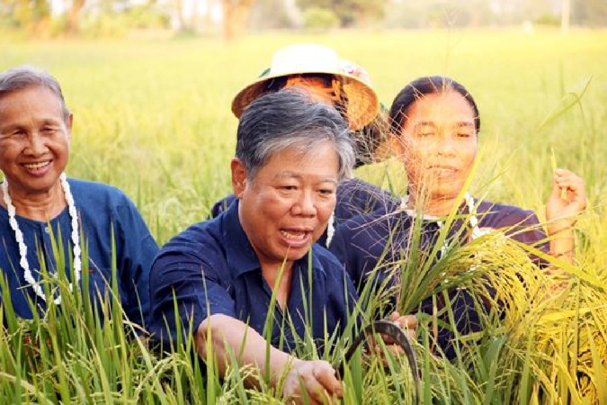เปิดแผนพัฒนา'ภาคเกษตรไทย' เปิดแผนพัฒนา'ภาคเกษตรไทย'