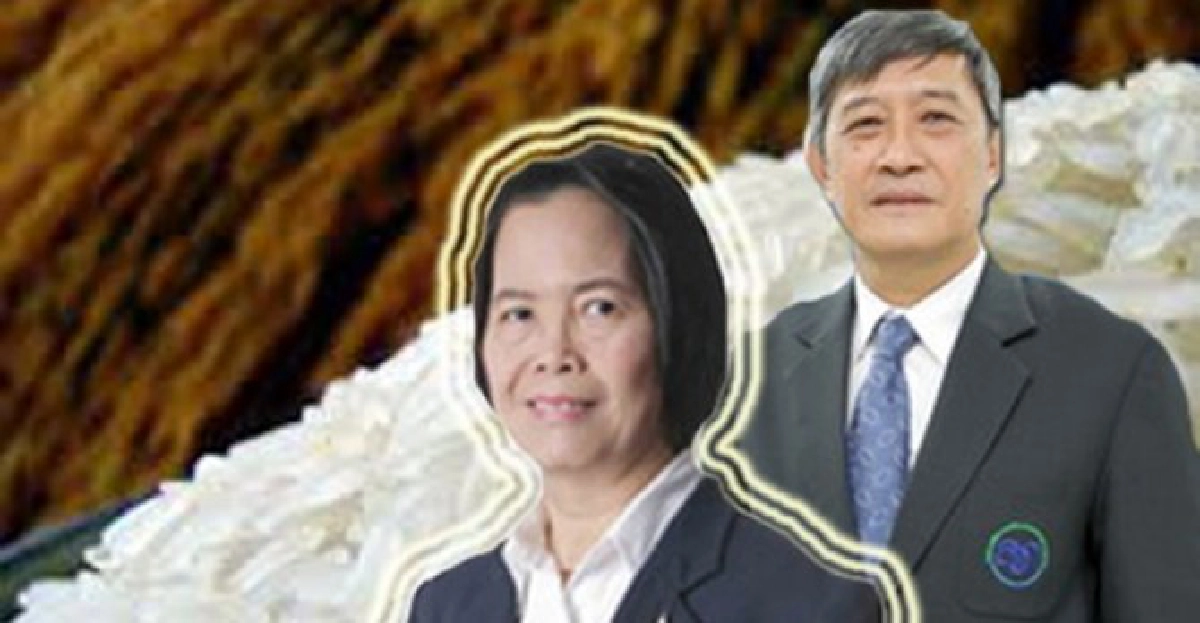 วิจัยพบ'คลื่นวิทยุกำจัดมอดในข้าวสาร' วิจัยพบ'คลื่นวิทยุกำจัดมอดในข้าวสาร'