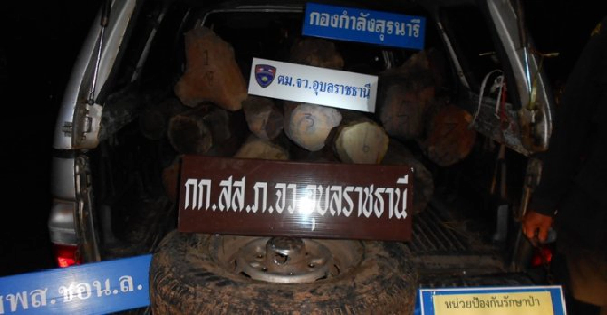 โจ๋16ขนไม้พะยูงแหกด่านไม่รอด! โจ๋16ขนไม้พะยูงแหกด่านไม่รอด!
