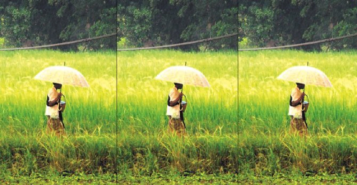 หนทางที่นำไปสู่สติอันผลิบาน หนทางที่นำไปสู่สติอันผลิบาน