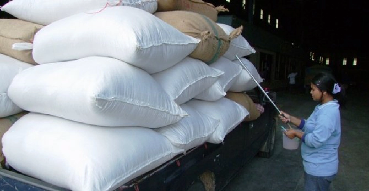 'ขายข้าว'รอบแรกแผ่วได้แค่9หมื่นตัน 'ขายข้าว'รอบแรกแผ่วได้แค่9หมื่นตัน