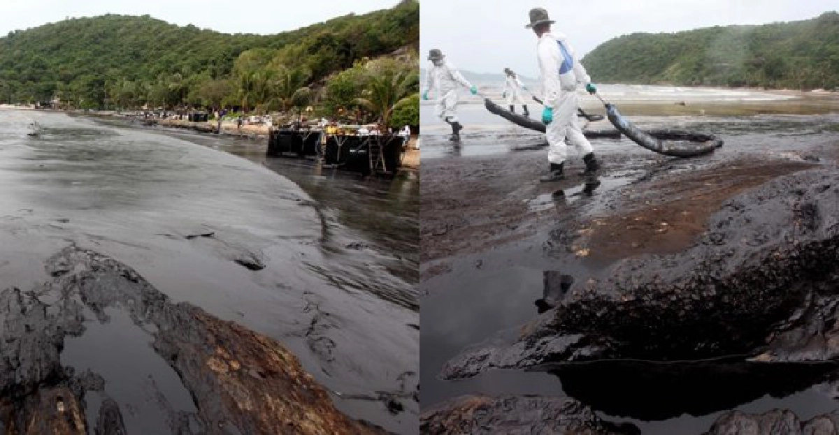 หายนะ'ระบบนิเวศ'น้ำมันดิบ..ทะลักทะเล หายนะ'ระบบนิเวศ'น้ำมันดิบ..ทะลักทะเล