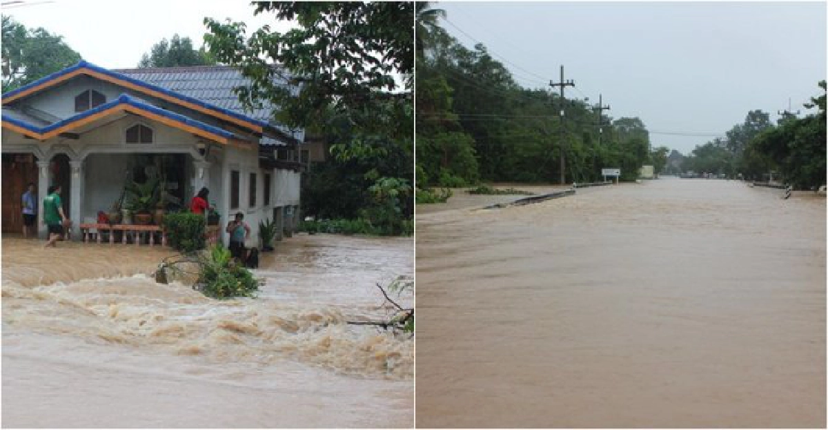ตรังฝนถล่มหนักท่วม2อำเภอทหารเร่งระดมช่วย
ตรังฝนถล่มหนักท่วม2อำเภอทหารเร่งระดมช่วย