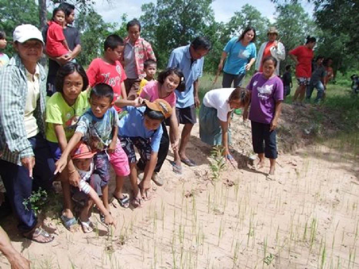 ผวา!พบรอยเท้า'เสือ'โผล่บุรีรัมย์ ผวา!พบรอยเท้า'เสือ'โผล่บุรีรัมย์