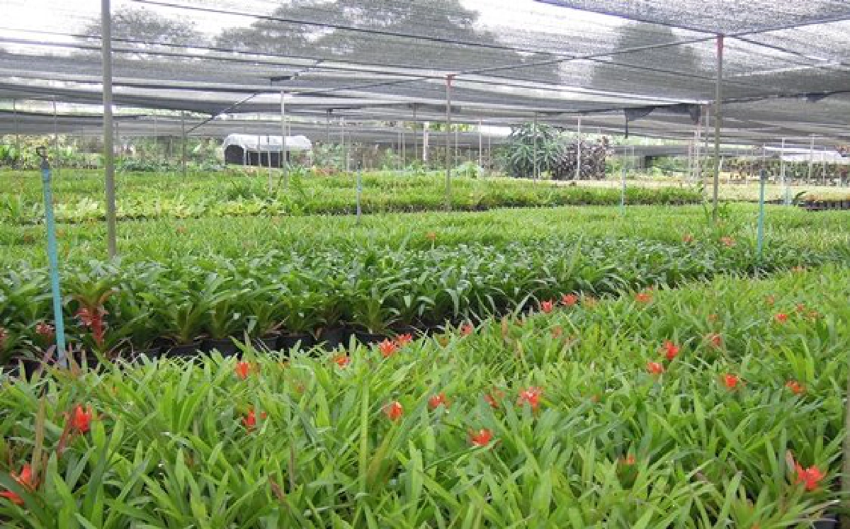 ท่องโลกเกษตร : 'สวนอุดมการ์เด้น'
