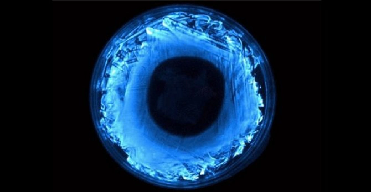 หลอดไฟชีวภาพจากนิเวศแบคทีเรีย