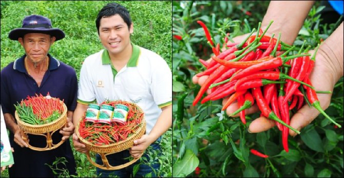 เกษตรกรคนเก่ง : 'สนั่น สะไรรัมย์' เกษตรกรคนเก่ง : 'สนั่น สะไรรัมย์'