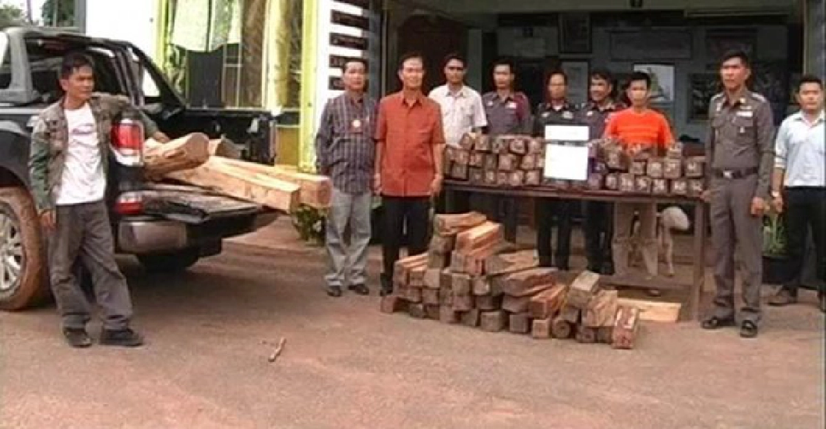 จับ!กระบะซุกไม้พะยูง88ท่อนค่านับล. จับ!กระบะซุกไม้พะยูง88ท่อนค่านับล.