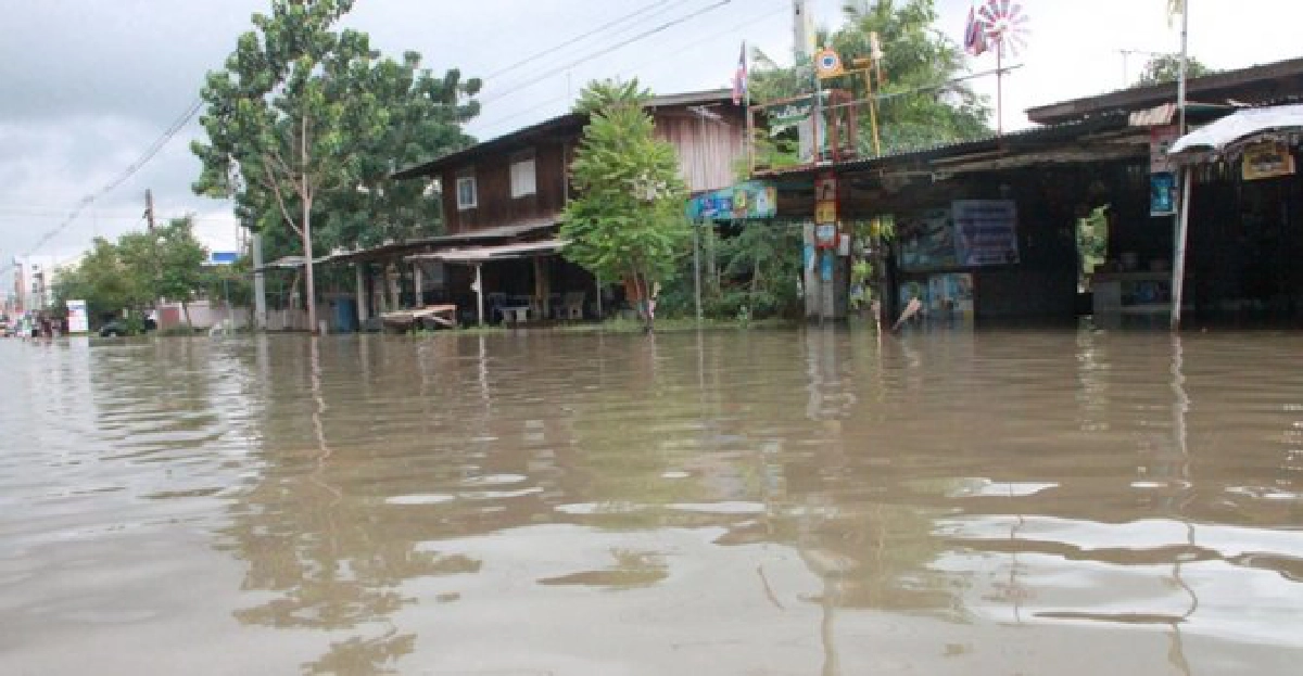 ทุกภาคส่วนควรร่วมตัดสิน ทุกภาคส่วนควรร่วมตัดสิน