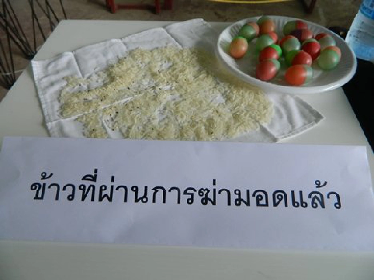 ฆ่ามอดในข้าวสารด้วยคลื่นวิทยุ