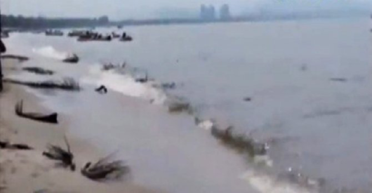 'หาดบางแสน'กลับสู่ภาวะปกติแล้ว