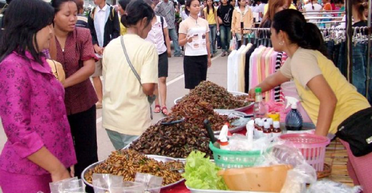 เตือน!ป่วยภูมิแพ้-หอบหืดงดเปิบ'แมลงทอด'