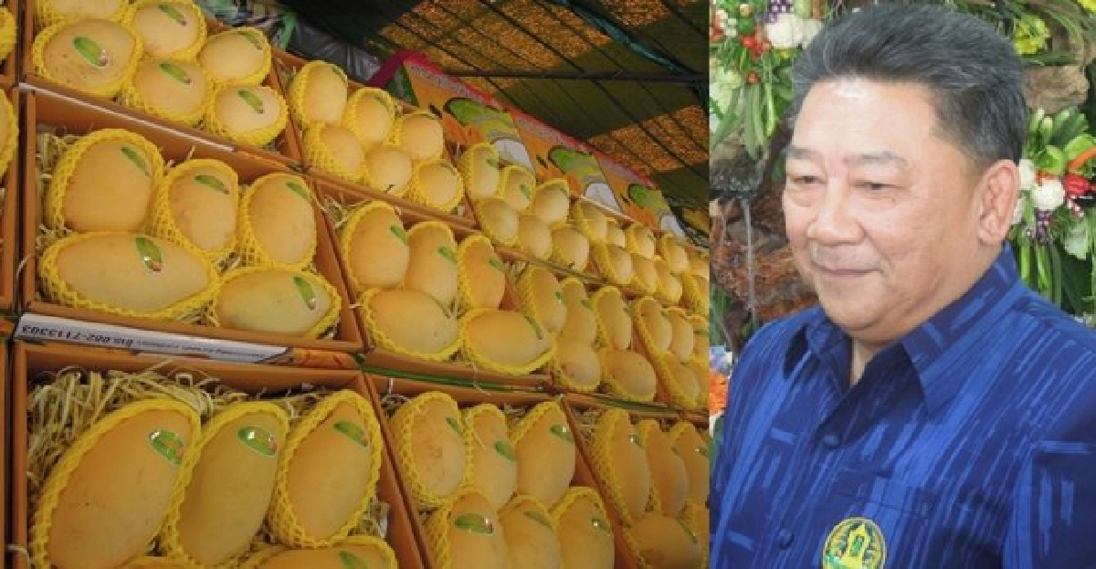 ทำมาหากิน : 'พรีเมียม จีเอพี' ทำมาหากิน : 'พรีเมียม จีเอพี'