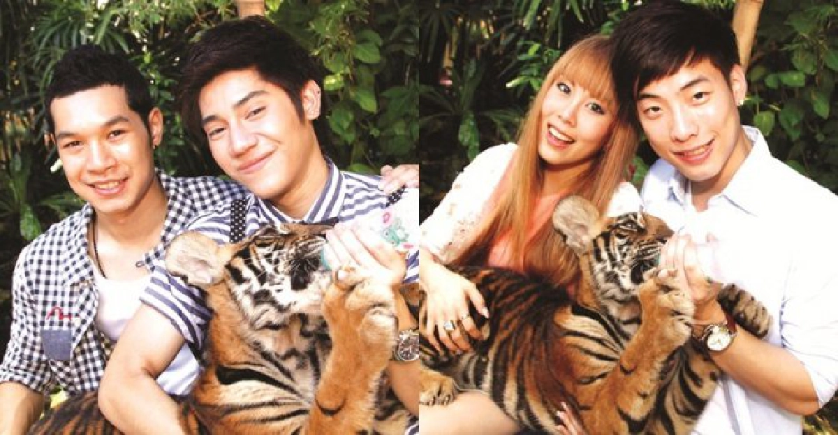 'ถังเบียร์-เทม-เต้ย-บีม'ตะลุย'ซาฟารีเวิลด์' 'ถังเบียร์-เทม-เต้ย-บีม'ตะลุย'ซาฟารีเวิลด์'