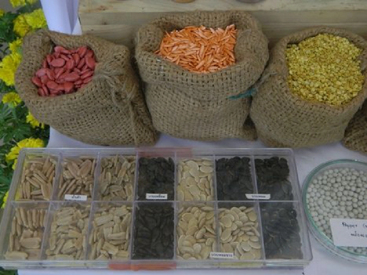 ฝันเนรมิตประเทศไทยเป็น'ซีด ฮับ' ฝันเนรมิตประเทศไทยเป็น'ซีด ฮับ'