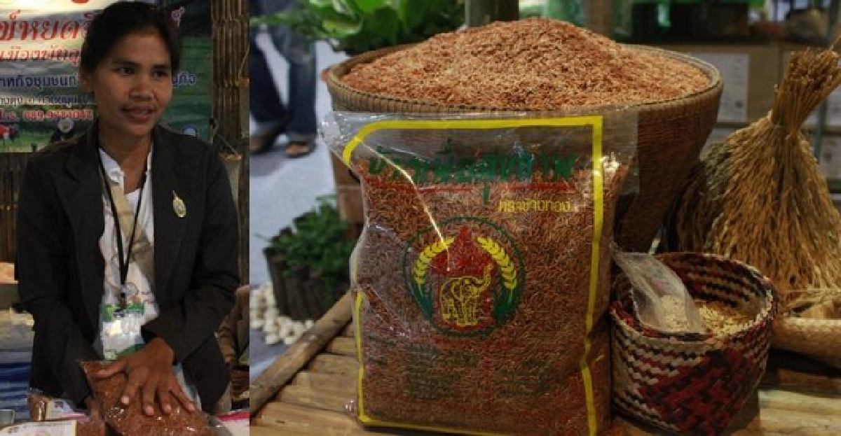 'ช้างทอง'ข้าวคุณภาพดีชาวชุมชุนท่าช้าง