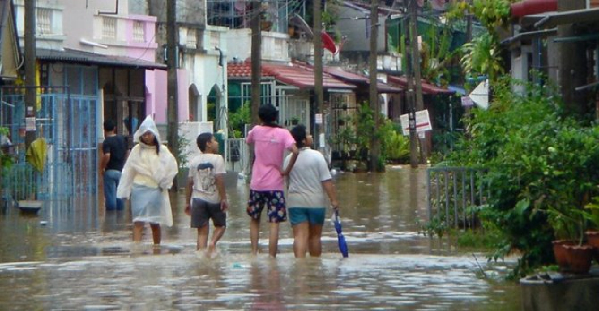 นราฯฝนถล่มท่วมแล้ว4อำเภอเร่งอพยพปชช. นราฯฝนถล่มท่วมแล้ว4อำเภอเร่งอพยพปชช.