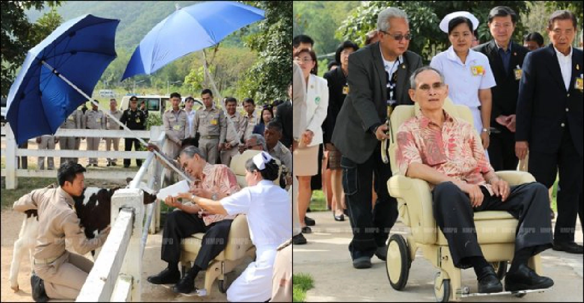 'ในหลวง'เสด็จฯโครงการชั่งหัวมัน 'ในหลวง'เสด็จฯโครงการชั่งหัวมัน