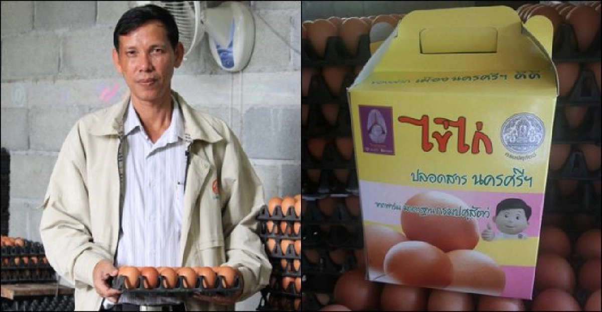 'ธัญธิดาฟาร์ม'ธุรกิจฟาร์มไข่ไก่ครบวงจร 'ธัญธิดาฟาร์ม'ธุรกิจฟาร์มไข่ไก่ครบวงจร