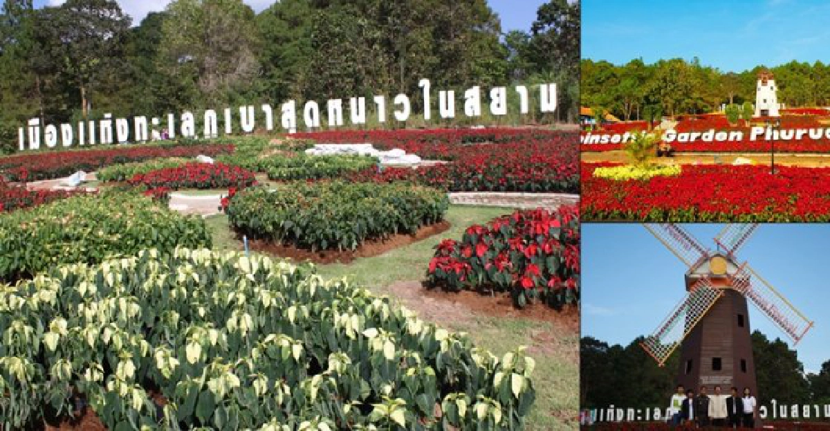 ชวนเที่ยว...เมืองเลย สัมผัสทะเลภูเขาสุดหนาวในสยาม