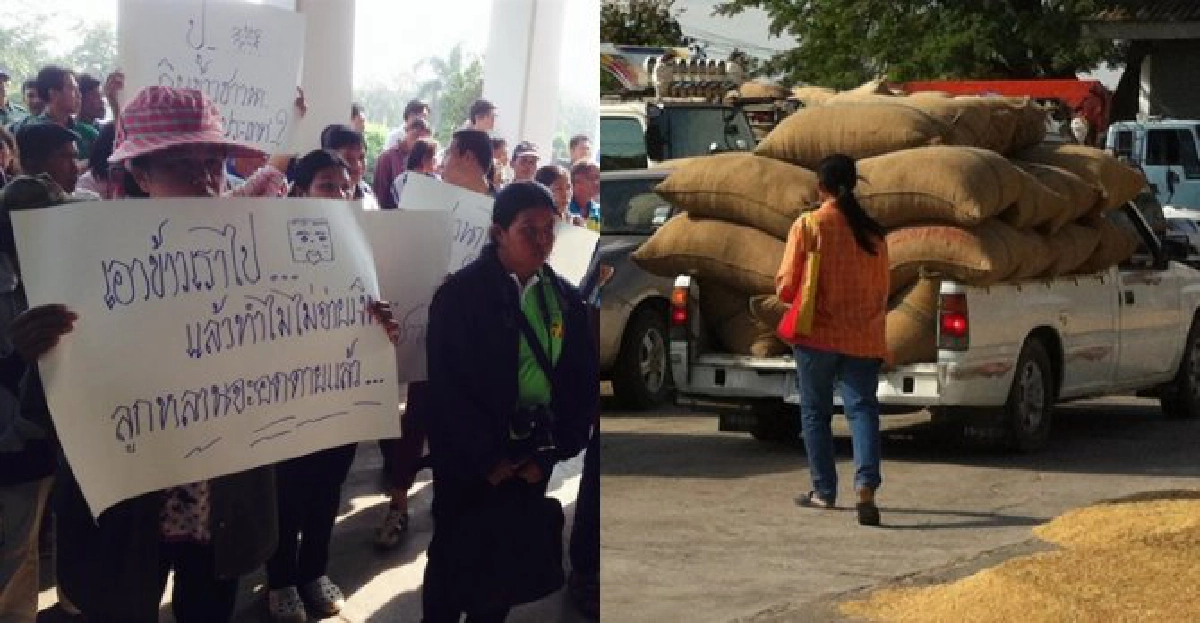 กำแพงเพชรปิดถนนทวงเงินจำนำข้าว กำแพงเพชรปิดถนนทวงเงินจำนำข้าว