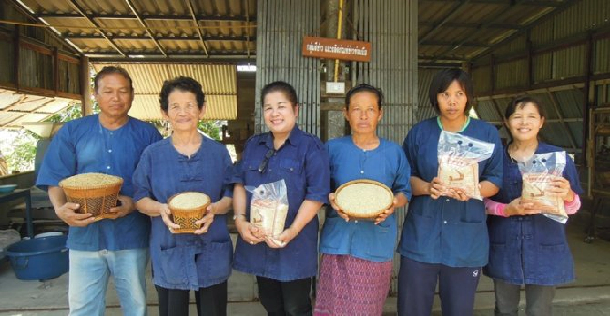 'ข้าวซ้อมมือ'บ้านบุหย่องสามัคคี