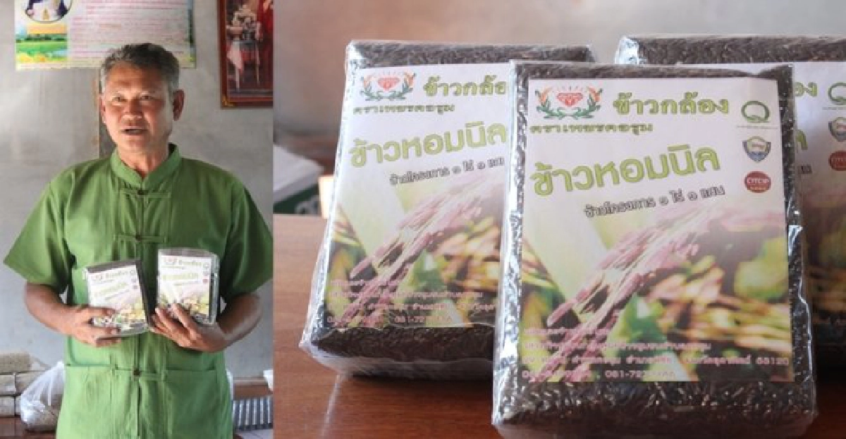 ทำมาหากิน : 'เพชรคอรุม'ข้าวหอมอินทรีย์ ทำมาหากิน : 'เพชรคอรุม'ข้าวหอมอินทรีย์