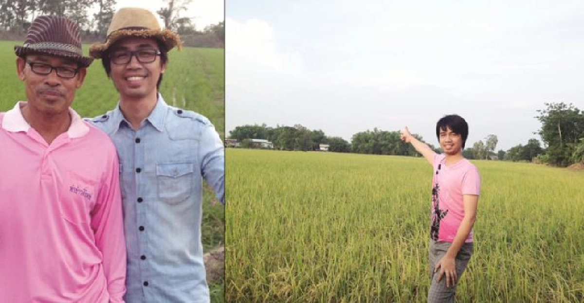 โปรแกรมเมอร์วันธรรมดา ชาวนาวันหยุด