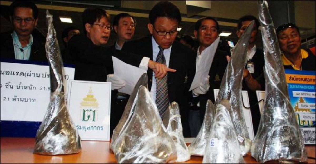 ยึดนอแรดลักลอบเข้าไทยมูลค่า21ล. ยึดนอแรดลักลอบเข้าไทยมูลค่า21ล.