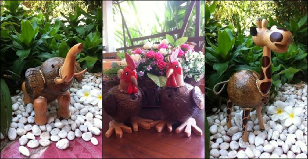 สารพันศิลปะ 'กะลามะพร้าว'