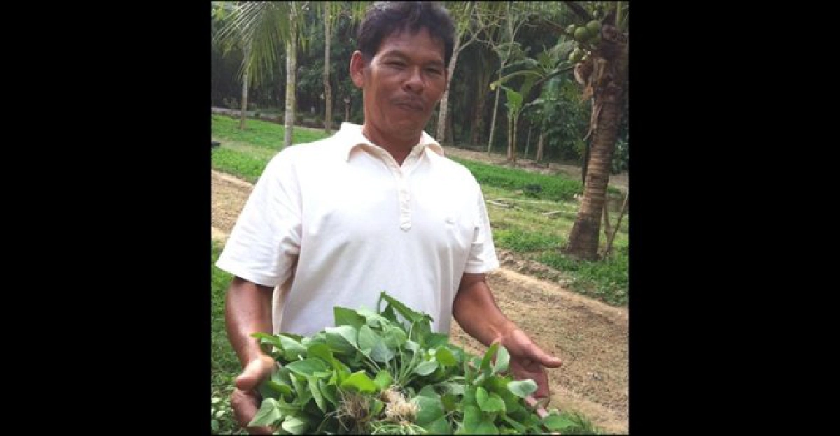 เกษตรกรคนเก่ง : 'สมชาย สุวรรณชาตรี' เกษตรกรคนเก่ง : 'สมชาย สุวรรณชาตรี'