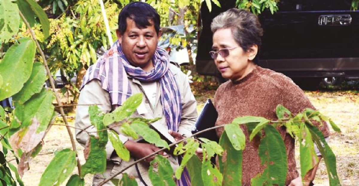 ผูกพัน...ด้วยเรื่องราวไพร ผูกพัน...ด้วยเรื่องราวไพร